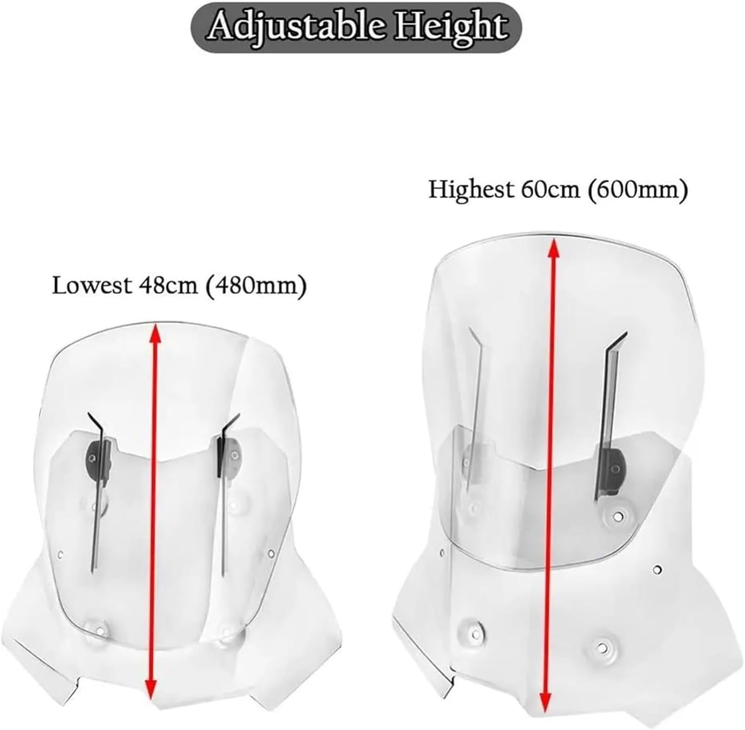 マスターバーニーエディション ラウンドバック未使用！ 郷ひろみバージョン